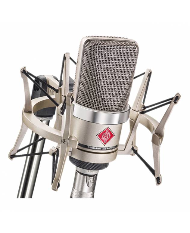 Neumann TLM102 Studio Condenser Microphone + EA4 Elastic Suspension (TLM102 Studio Set)